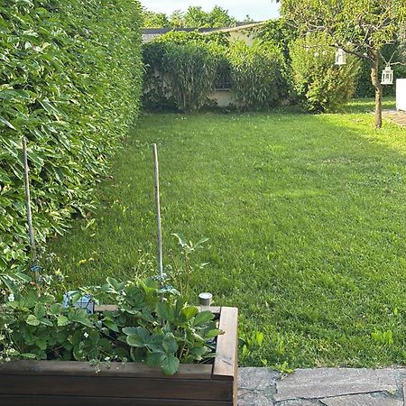 B&B Rivanazzano Tavernetta Tra Vino E Terme Rivanazzano Terme Εξωτερικό φωτογραφία